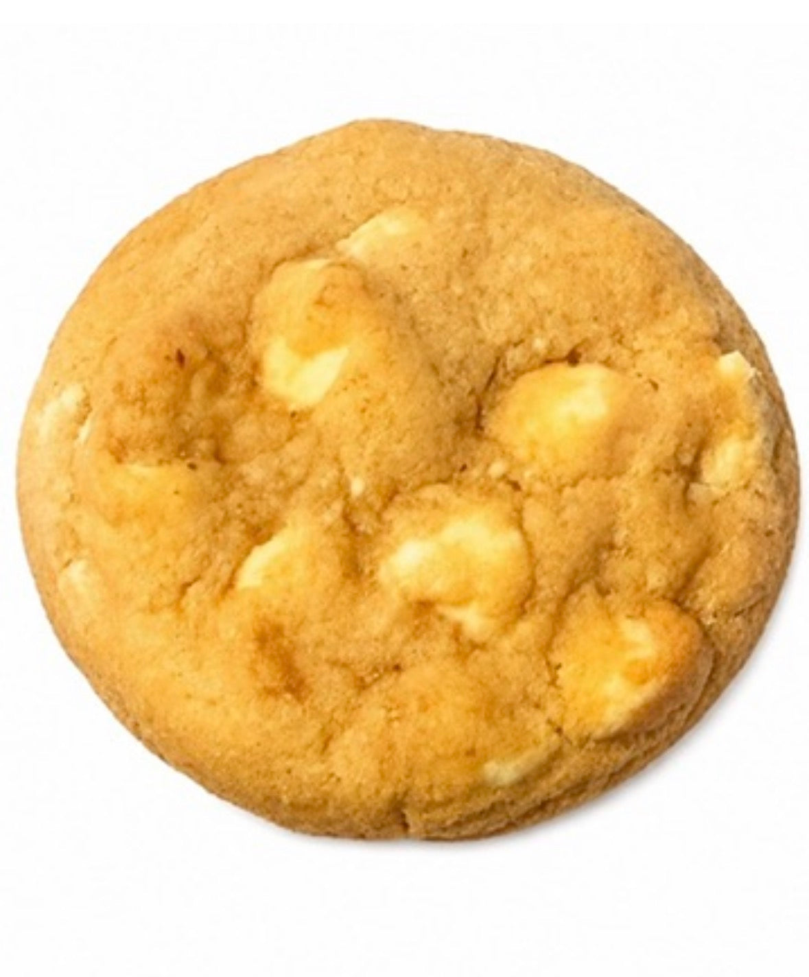 Macadamia Nut Cookie